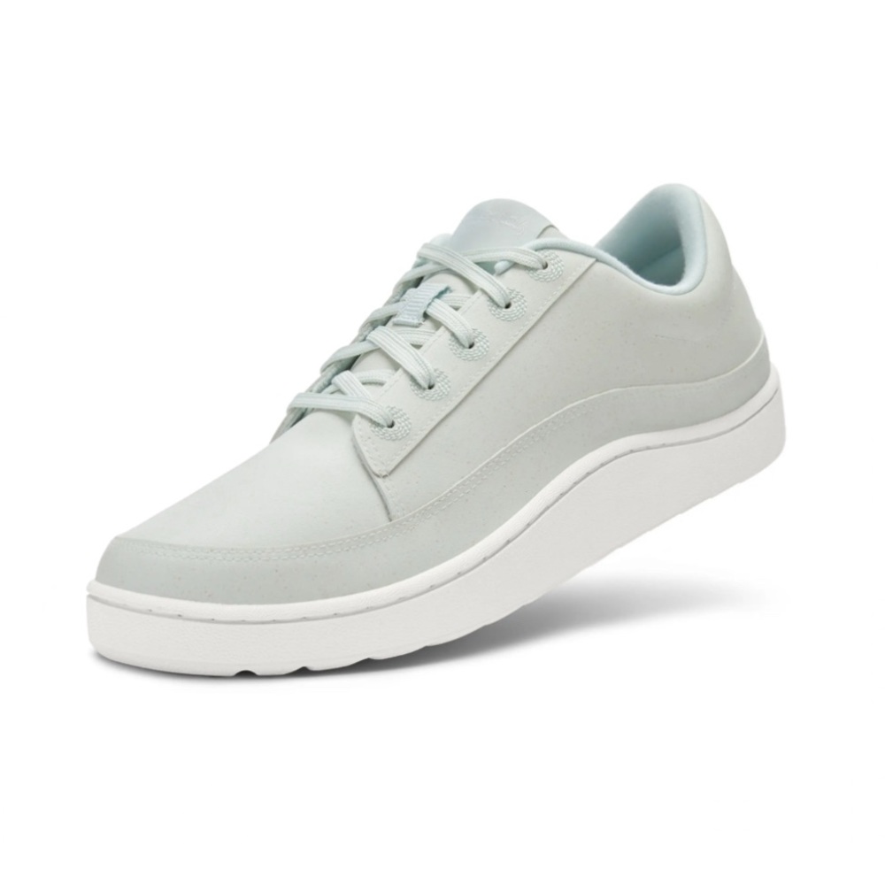 Allbirds Plants Pacer Sneaker NWT